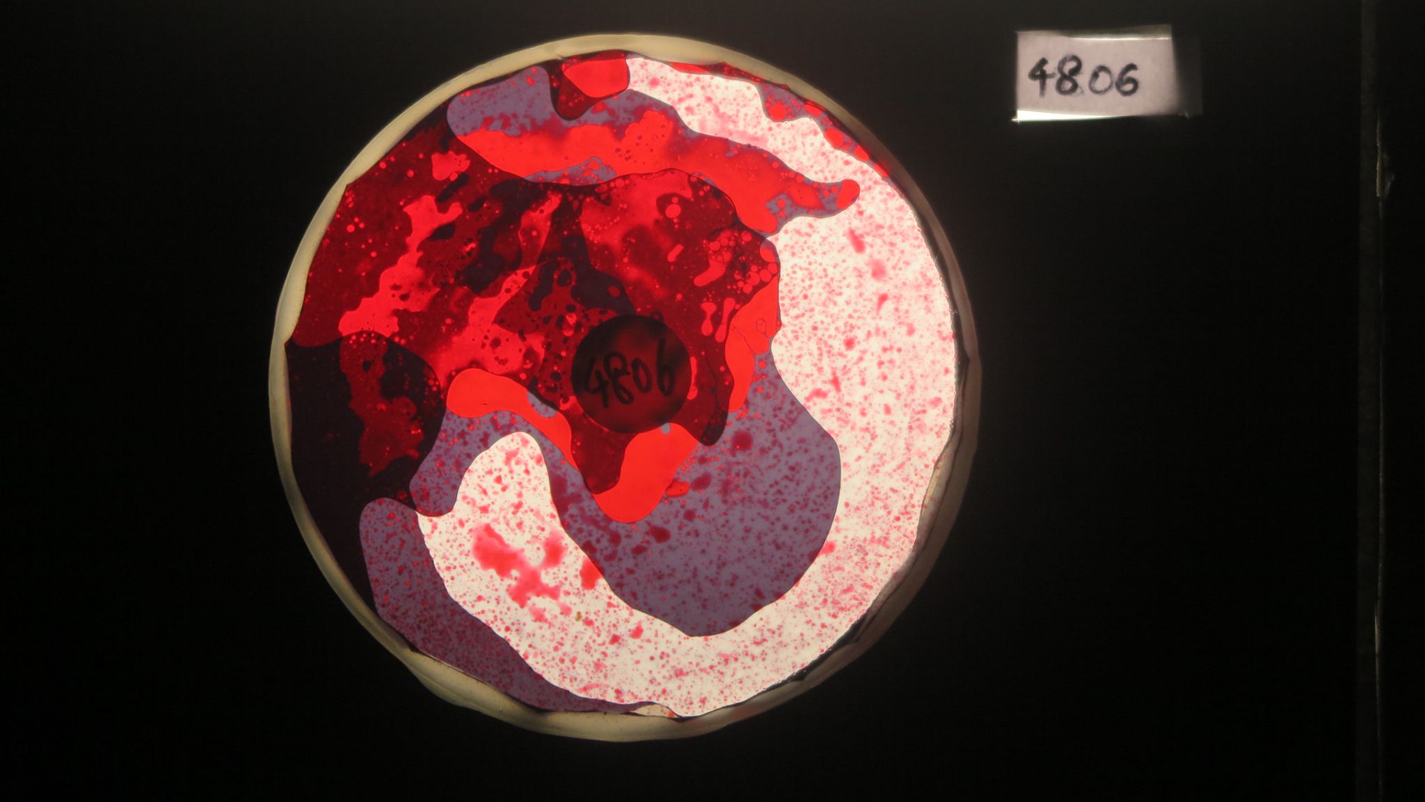 BV4806 bubble vision oil wheel